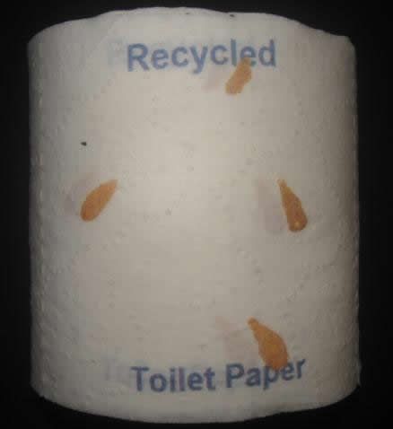 [Image: recycled_toilet_paper.jpg]