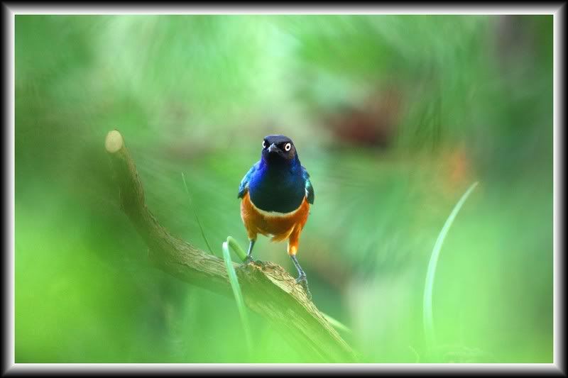 IMAGE: http://img.photobucket.com/albums/v407/tma2000/masungitnaibon.jpg