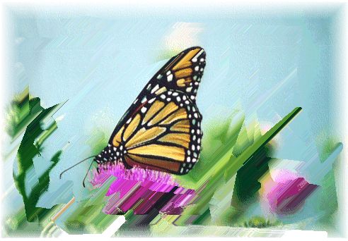 Copy2ofBUTTERFLY.bmp