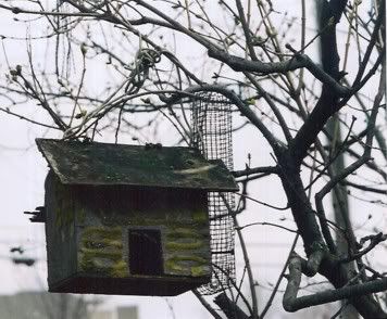 birdbarnhouse.jpg