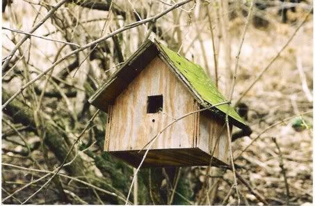 rusticbirdhouse.jpg