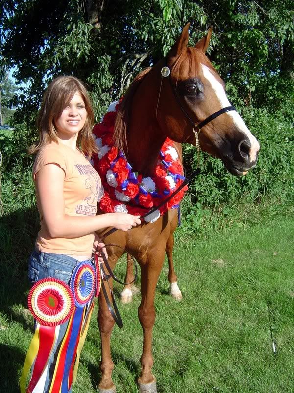 All Breed Pedigree Query