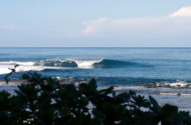 IMAGE: http://img.photobucket.com/albums/v408/bravohi/BabyCanons.jpg