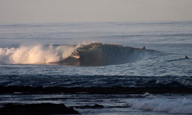 IMAGE: http://img.photobucket.com/albums/v408/bravohi/IMG_1857.jpg