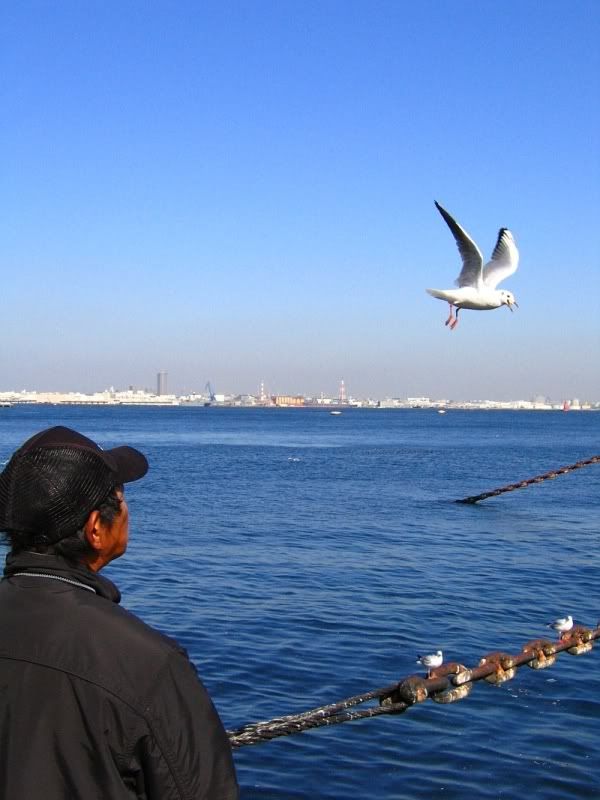 IMAGE: http://img.photobucket.com/albums/v409/blacvios/S2IS/flight12.jpg