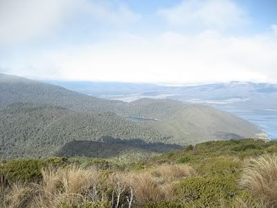 view from Mt. Tihia south, Lake Rotopounamu in the center and Lake Rotoaira to the right 