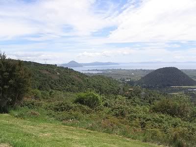  view from Mt. Tihia north, Maunganamu Cone to the right, photoby Peter Thomson 