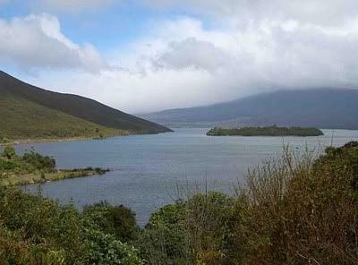  view over Lake Rotoaira and Motuopuhi Island from the north. Pic by Bertu Burma 