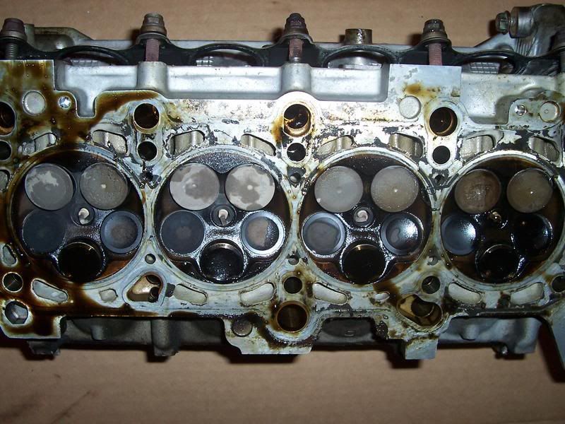 Pics of what happens when your water pump fails VW Vortex