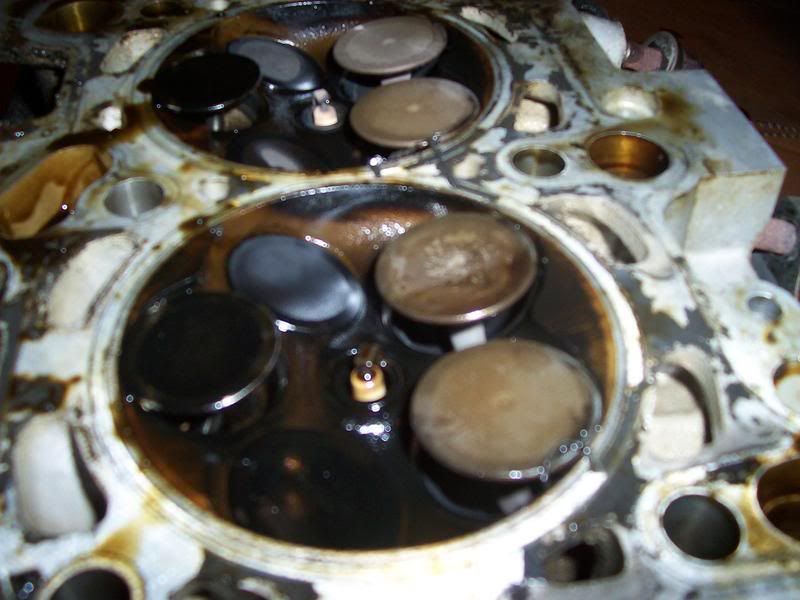 Pics of what happens when your water pump fails VW Vortex