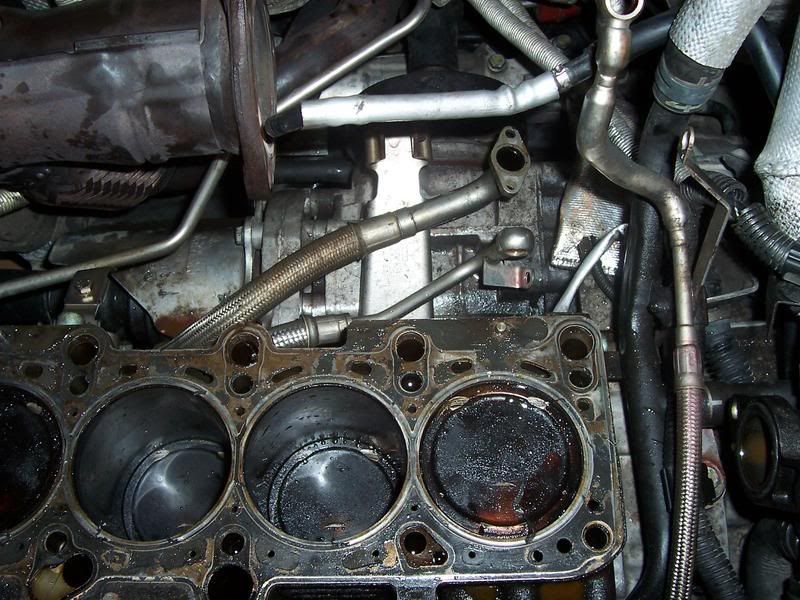 Pics of what happens when your water pump fails VW Vortex