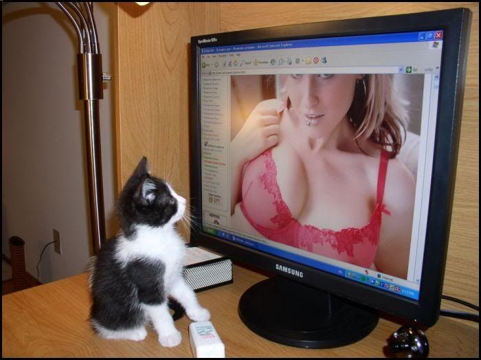 kittywatchingporn.jpg image by RoxyKawaii