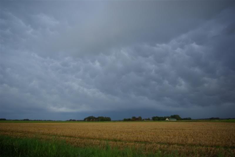 http://img.photobucket.com/albums/v41/Speedygj/mammatus.jpg