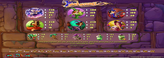 Wild Witches Video Slot 