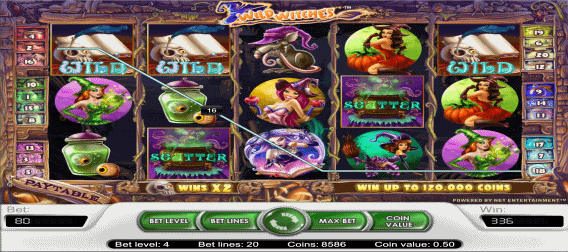 Wild Witches Video Slot Machine Review