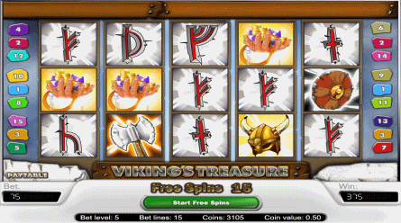 Viking's Treasure Video Slot