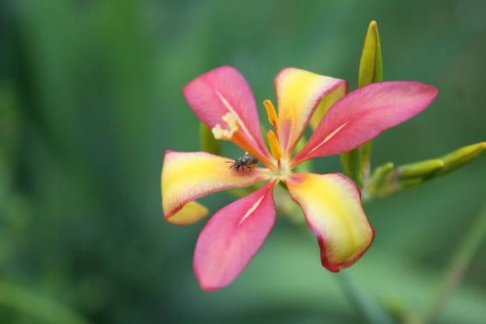 July 2012 photo 79963808.jpg