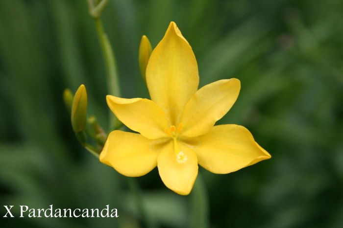 Aug 2013 photo IMG_9687_zps95387e3b.jpg