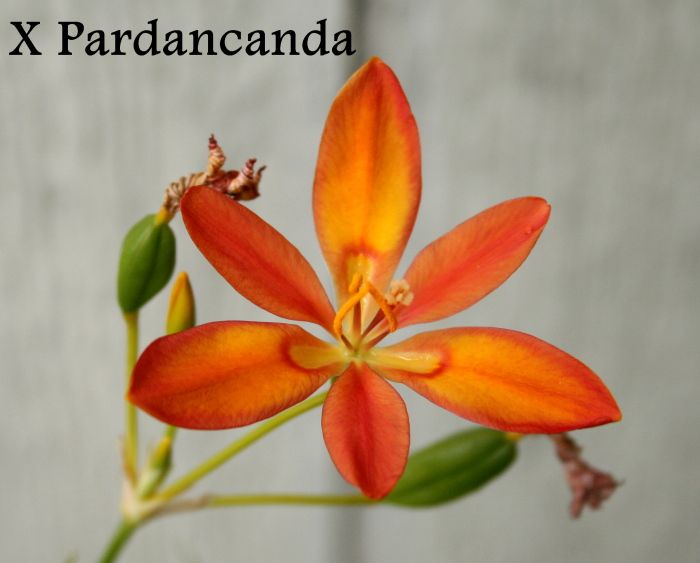 Aug 2013 photo IMG_9689_zps73c773ce.jpg