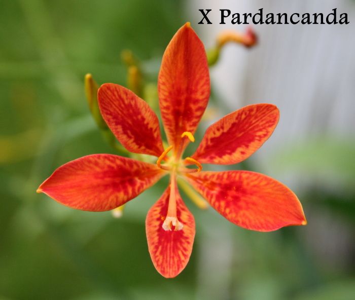  photo IMG_9692_zps322e3117.jpg