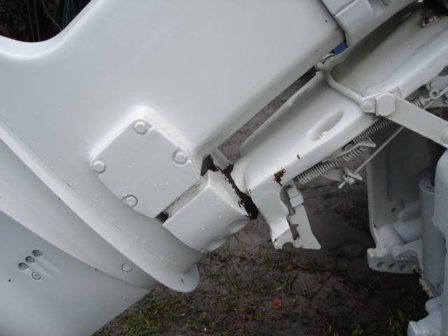 DSC00586.jpg
