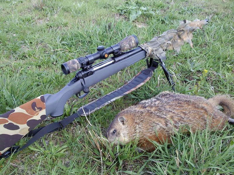 Firstg-hog2.jpg