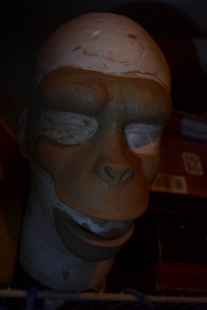 DSC_0081.jpg