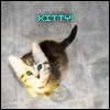 http://img.photobucket.com/albums/v410/trevlac/kitty.jpg