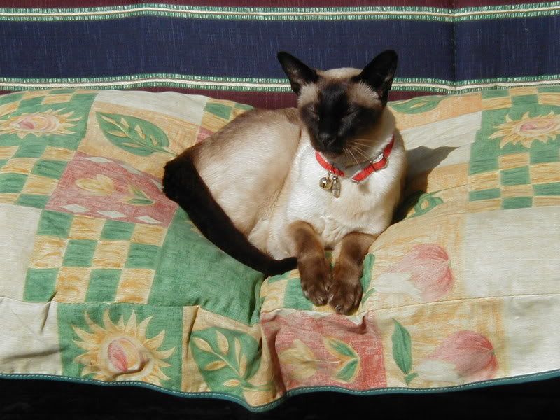 Aint It Funny Lyrics. 8 Aug 2001 . All about Jennifer Lopez. Lyrics.