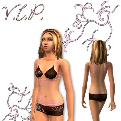 VIP_small.jpg