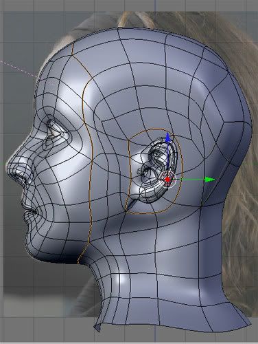 http://img.photobucket.com/albums/v412/Butterfly-Kiss/3D%20Works/facemeshsideview.jpg