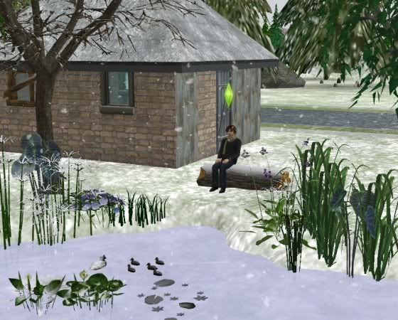 AmTeich.jpg