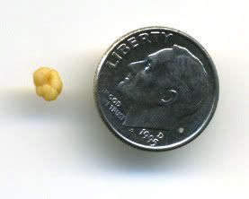 nasal stones