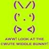 Crazy_Bunny_by_pickletoez.jpg