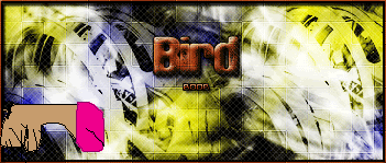 Posted Image