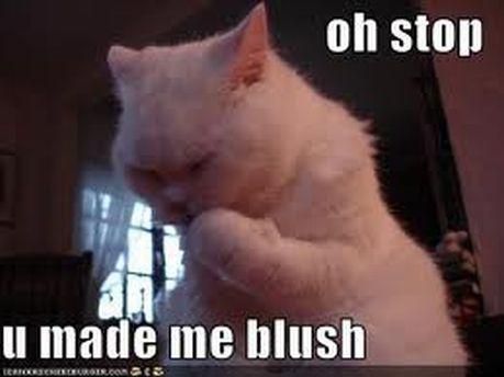 blushing-cat-LOL.jpg