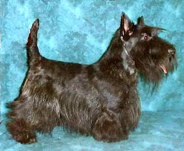 Image hosted by Photobucket.com