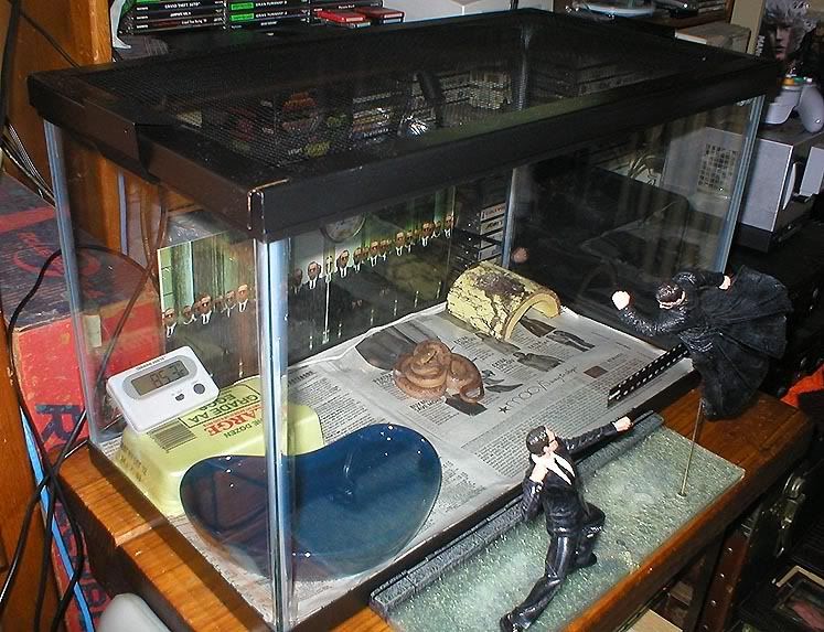 snaketank.jpg