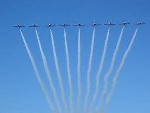 Canadian Snowbirds