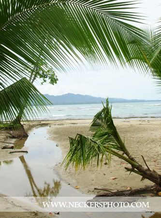 caribbean sea, salsa brava, playa cocles Costa Rica