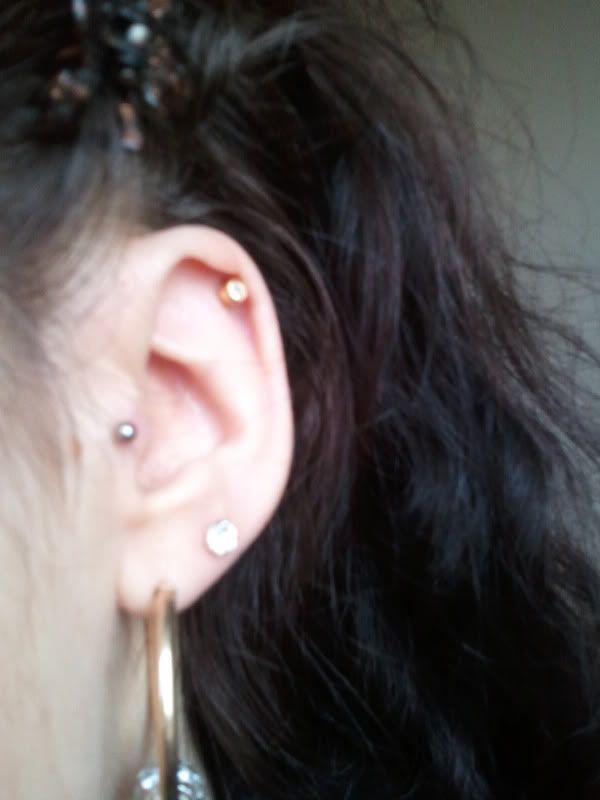 Tragus Piercing (Pic). My tragus is now just over a week old and the Tragus Piercing (Pic). My tragus is now just over a week old and the
