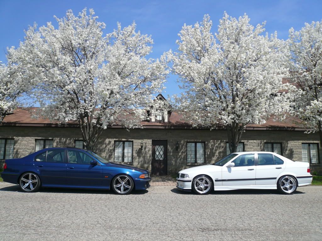 SCd 97 M3 w 2000 540i BMW