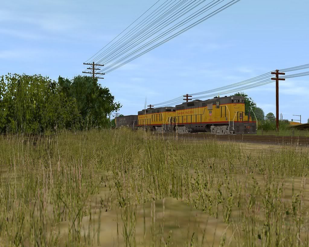 denison6.jpg