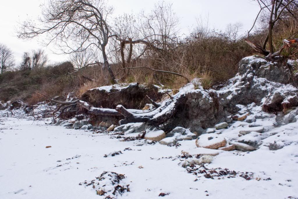 IMAGE: http://img.photobucket.com/albums/v415/shagnasty/WearBay51of1.jpg