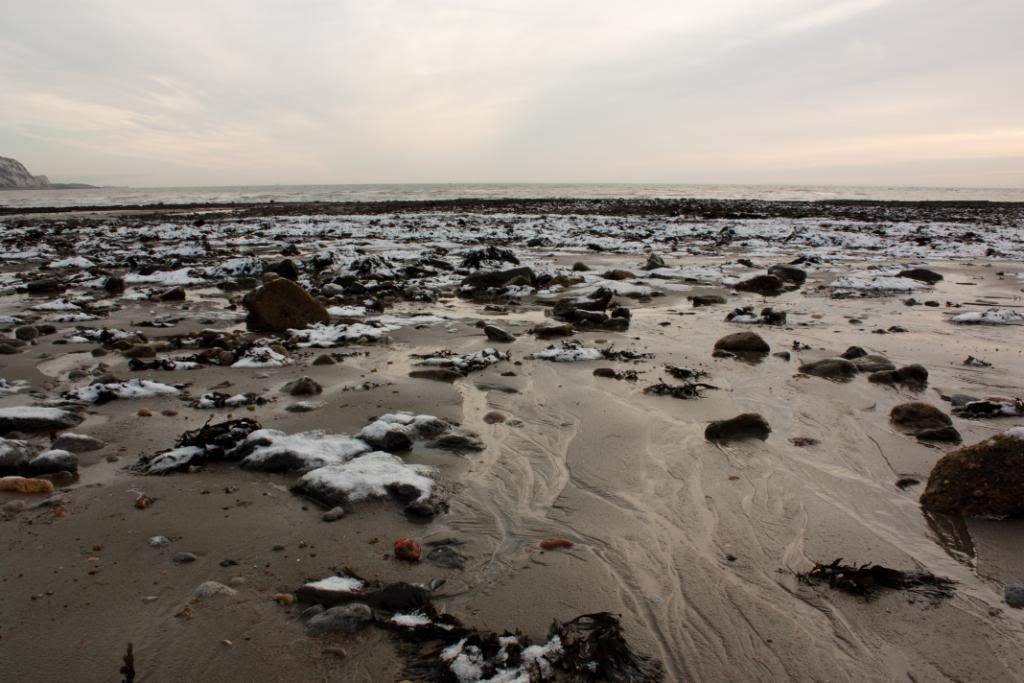 IMAGE: http://img.photobucket.com/albums/v415/shagnasty/WearBaySnow31of1.jpg