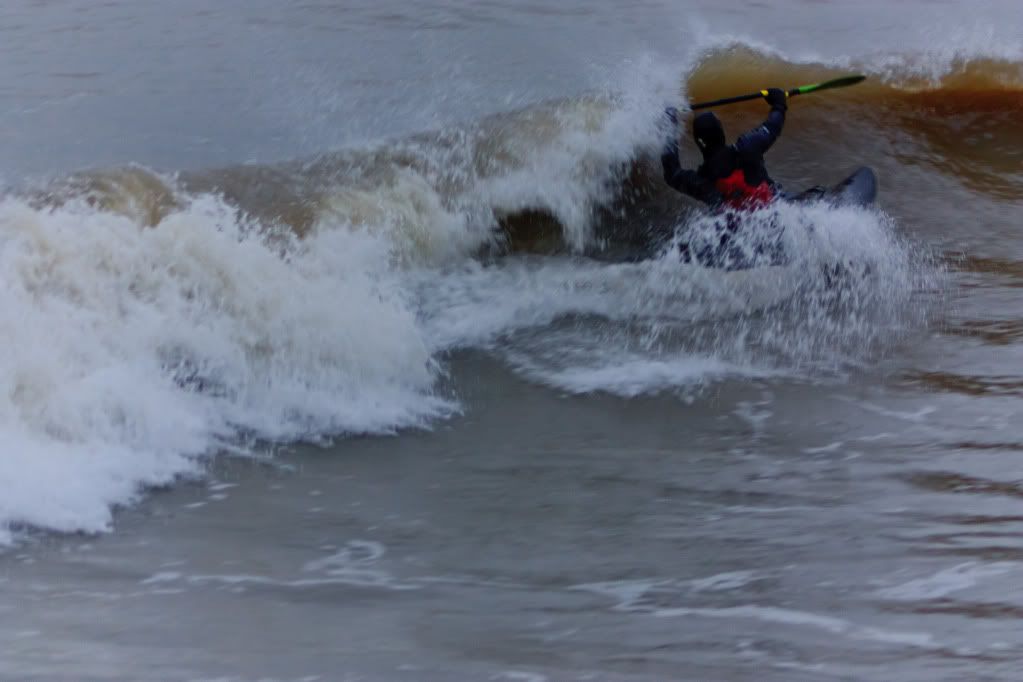 IMAGE: http://img.photobucket.com/albums/v415/shagnasty/Wombat-0076.jpg