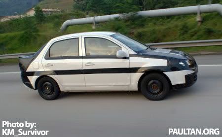 Proton BLM