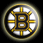 Bruins Fan