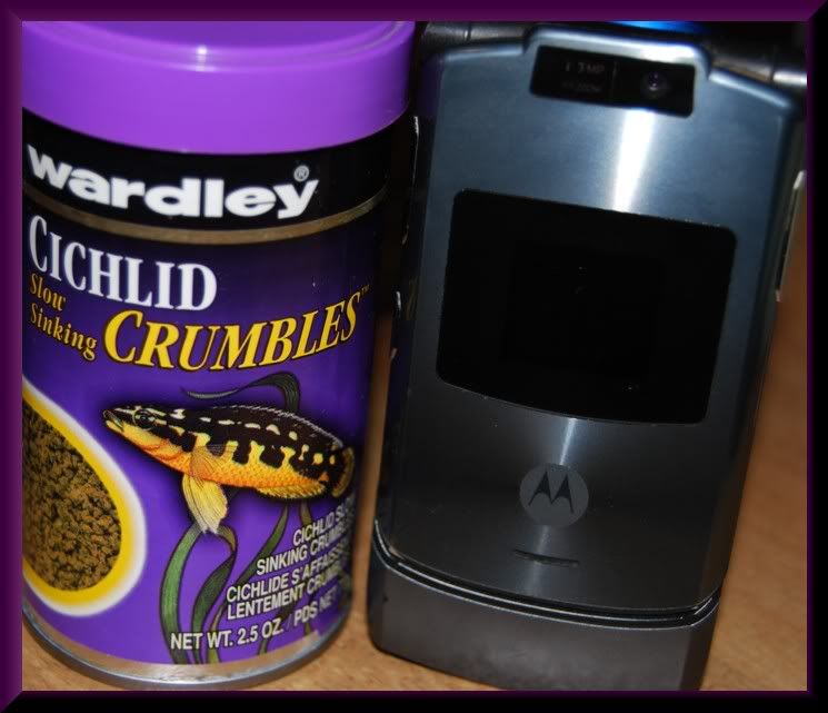 FishyFoods015c.jpg