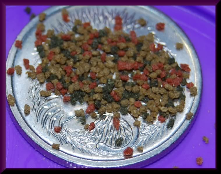 FishyFoods019c.jpg